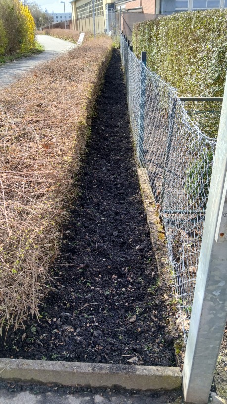 Bild GA-Zaunstreifen bei Garten 82